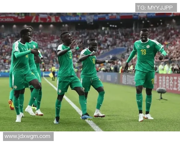 埃及与尼日尔刚果的足球对决谁能赢得胜利的荣耀与未来